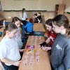 6_8B_Vrstevnický program